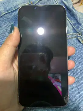 Iphone 13 Pro 256 silver