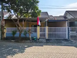Disewakan rumah Vila Tlogomas