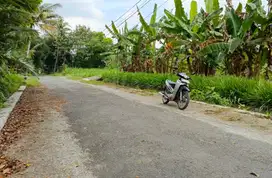 Tanah 530m turi sleman