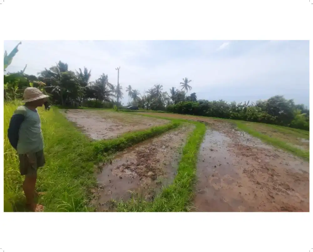 Dijual tanah di Ds. Sukawati, Tabanan, Bali