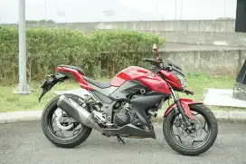 Kawasaki Z250 2013