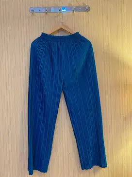 New Pleats Pants Allsize