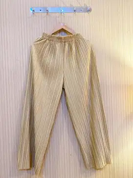 New Pleats Pants Allsize