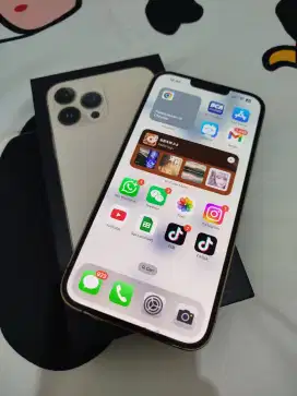 iPhone 13 promax 256 ex ibox