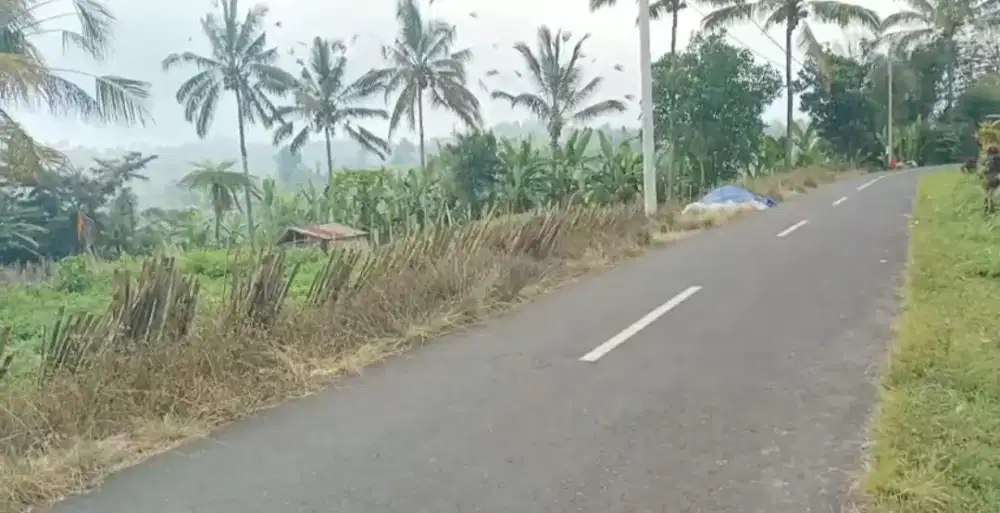 DIJUAL TANAH AREA PARIWISATA UBUD PAYANGAN GIANYAR BALI