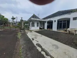 Termurah! Jual Cepat Royal Palm Setiabudi