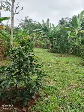 Jual Tanah Luas 290m SHM..strategis