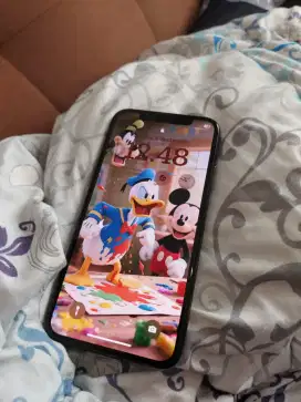 iPhone X mulus like new