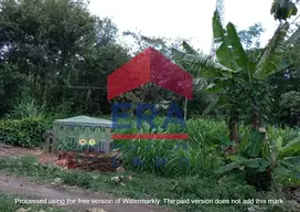 Dijual Tanah Murah di Jalan Raya Duren Talun Blitar