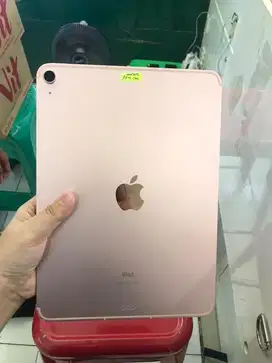 ipad Air 4 256 cell inter