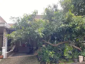 Di Jual Rumah Strategis di Citra Grand Cibubur