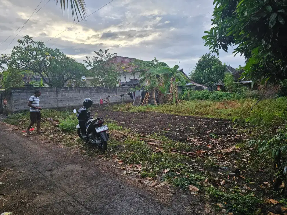 Tanah dekat sekolah di sambangan singaraja