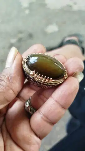 Pandan lumut cincau