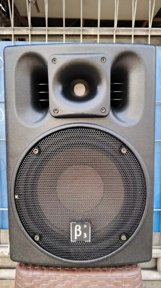‎Beta Three U10A Active 2 Way Full Range
‎Electronic Compensation