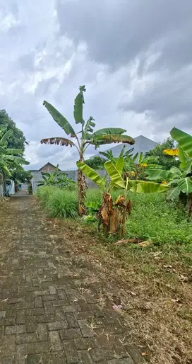 Tanah Tembalang Mulawarman Undip