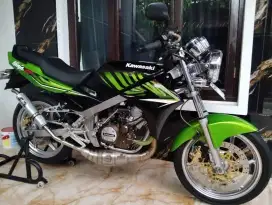 Ninja SS Zebra 2015