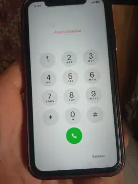I phone 11 mulus