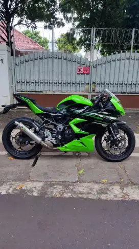 Kawasaki Ninja 250 SL Mono
