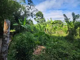 DIJUAL TANAH DI TEMPURAN AREA PEMUKIMAN BAGUS UNTUK PERUMAHAN
