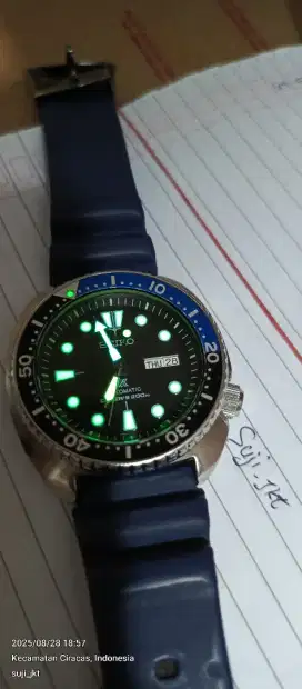 Seiko turtle x diver