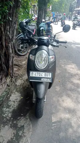 Honda Scoopy 2019