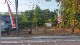 Dijual Tanah SHM Tanpa Perantara Lokasi Desa Pajangan Kab. Lamongan