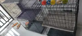 Kandang anjing, kucing, ayam, bebek, burung