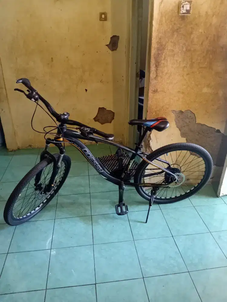 Jual sepeda gunung oddesy,no minus,tinggal goes,n3go