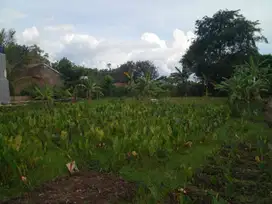 10 Menit Terminal Bubulak Kaveling Ciomas Bogor SHM Bisa dicicil