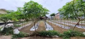 Tanah untuk bangun rumah