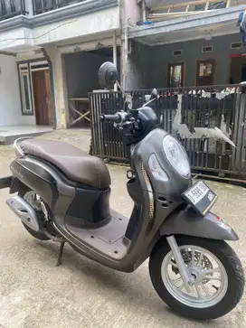 honda scoopy 2023