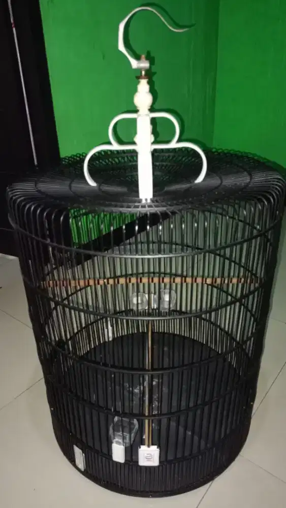 Kadang burung murai no.2