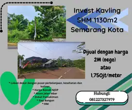 Invest Kavling 1130m2 SHM Semarang Kota Gondoriyo Ngaliyan