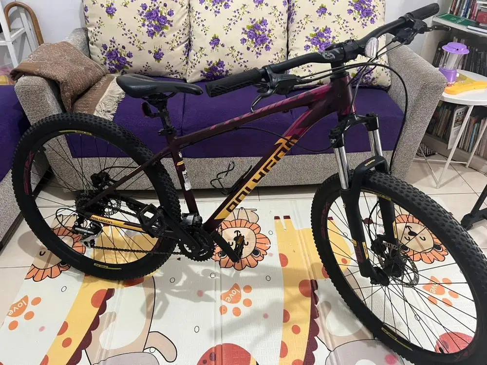 Jual Sepeda Jarang Dipake