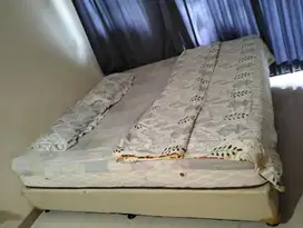 Springbed premium + divan superstar serenity 120x180