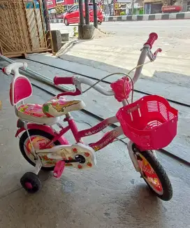 Jual sepeda anak 12T