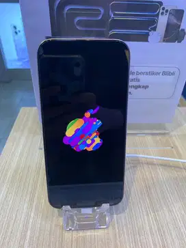 IPHONE 16 PRO MAX 256 GB