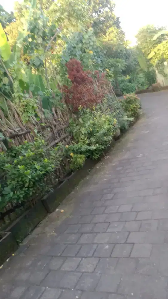Di jual tanah jalan Raya Puputan, DPS, Bali