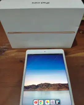 IPad Mini 5 64 GB wifi only