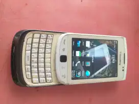 Blackberry Torch