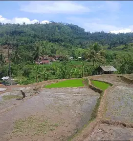 Sawah pinggir jln aspal sukahayu rancakalong