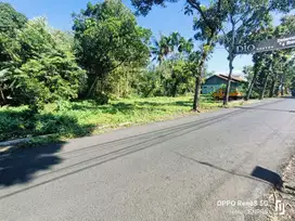 Tanah kosong dekat pasar Padamara,wisata Aquarium Purbalinggag