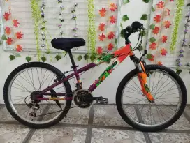 sepeda anak MTB Polygon Recoil ring 24 bekas
