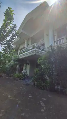 Dharmahusada, Raya.. Komersial area.