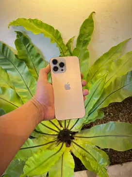 IPHONE 13 PROMAX 128 GB TERDAFTAR