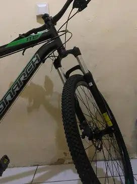 POLYGON MONARCH 5 26