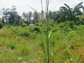Dijual tanah 300 meter persegi (15x20) SHM