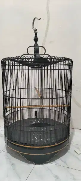 Sangkar murai 53