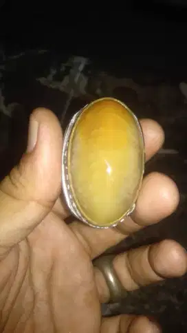 Dijual batu pandan nanas betok jumbo