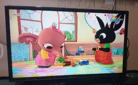 Tv led 24 inc panasonic